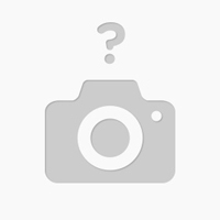 Rtx 5050 8gb Zotac Twin Edge Oc (nueva)